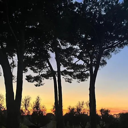 Tuscan 5mins From Sleeps 8 Ev Point *